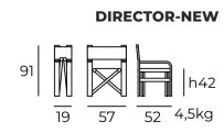 t-director-new